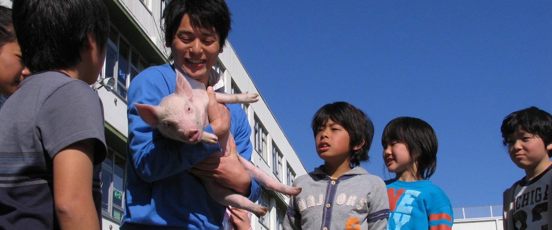 School Days with a Pig
