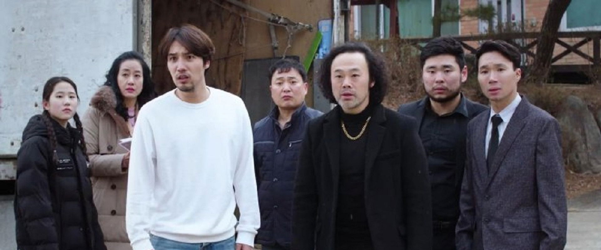 A Stray Cat's banner image