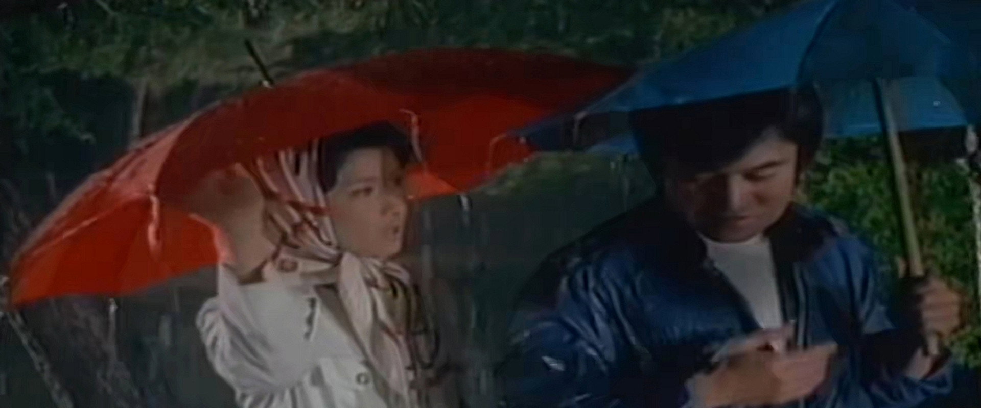 Wet Lips in the Rain's banner image
