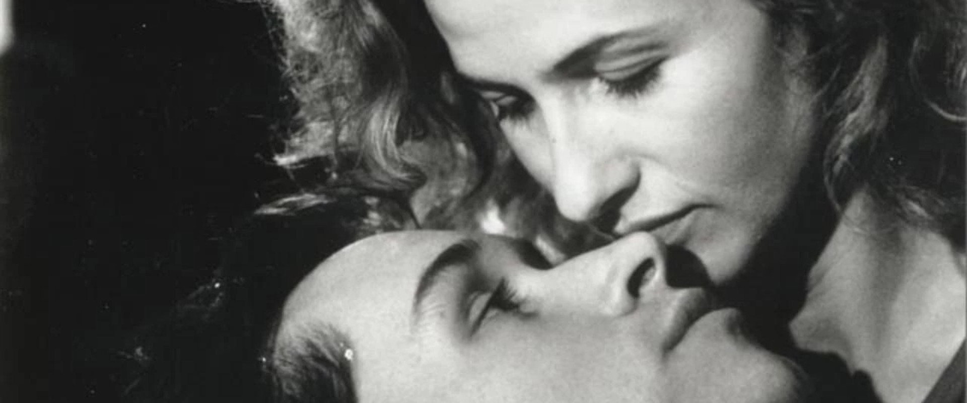 Lou Didn’t Say No's banner image