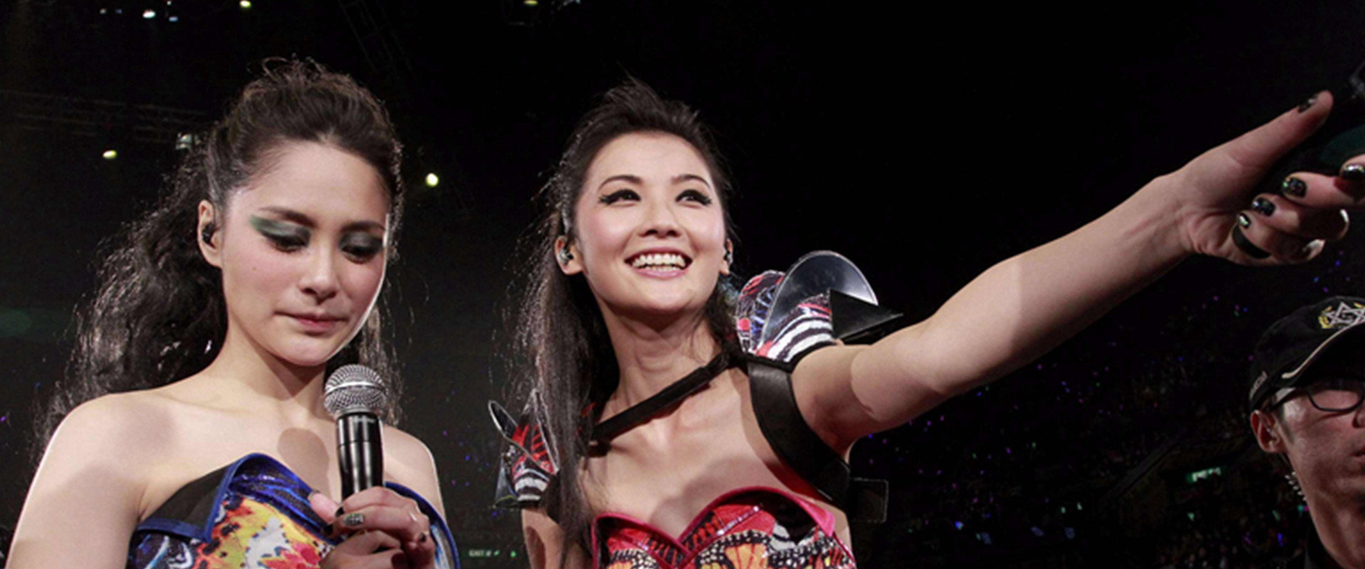 Twins 2010 Concert's banner image