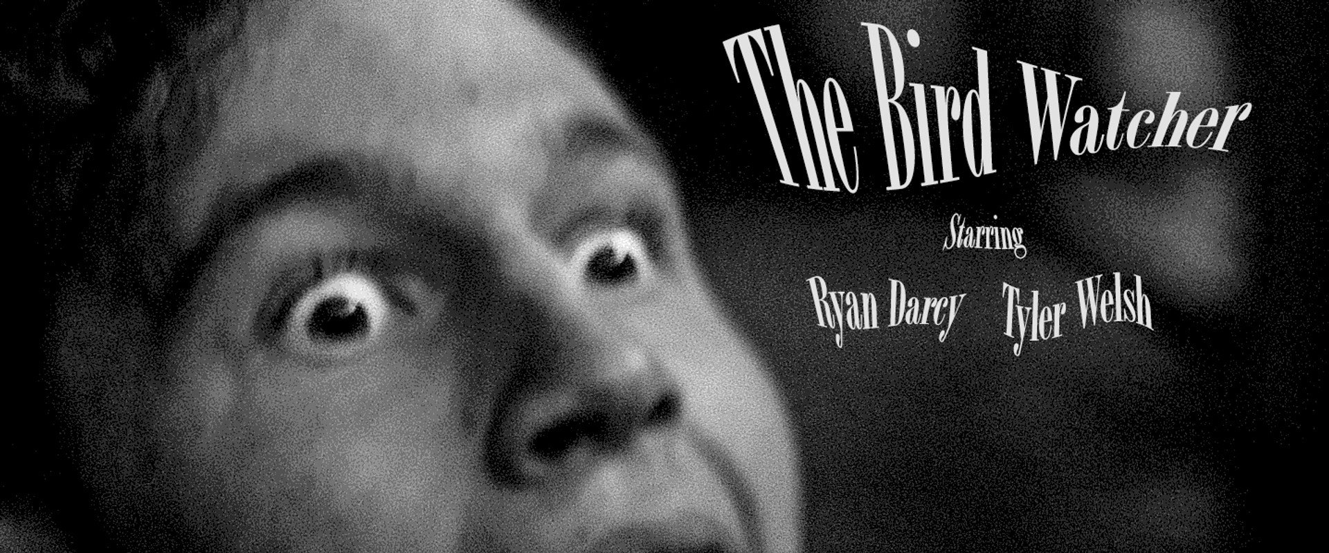 The Bird Watcher