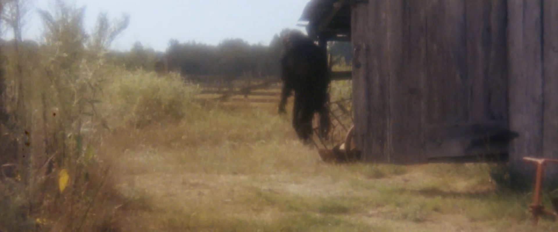 Boggy Creek II: And the Legend Continues