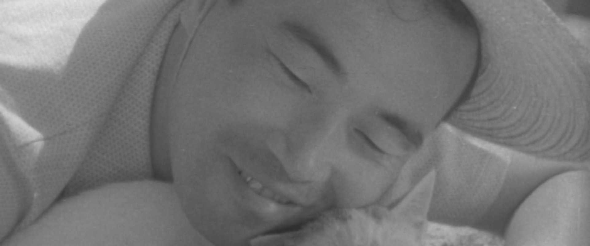 Shozo, a Cat and Two Women's banner image