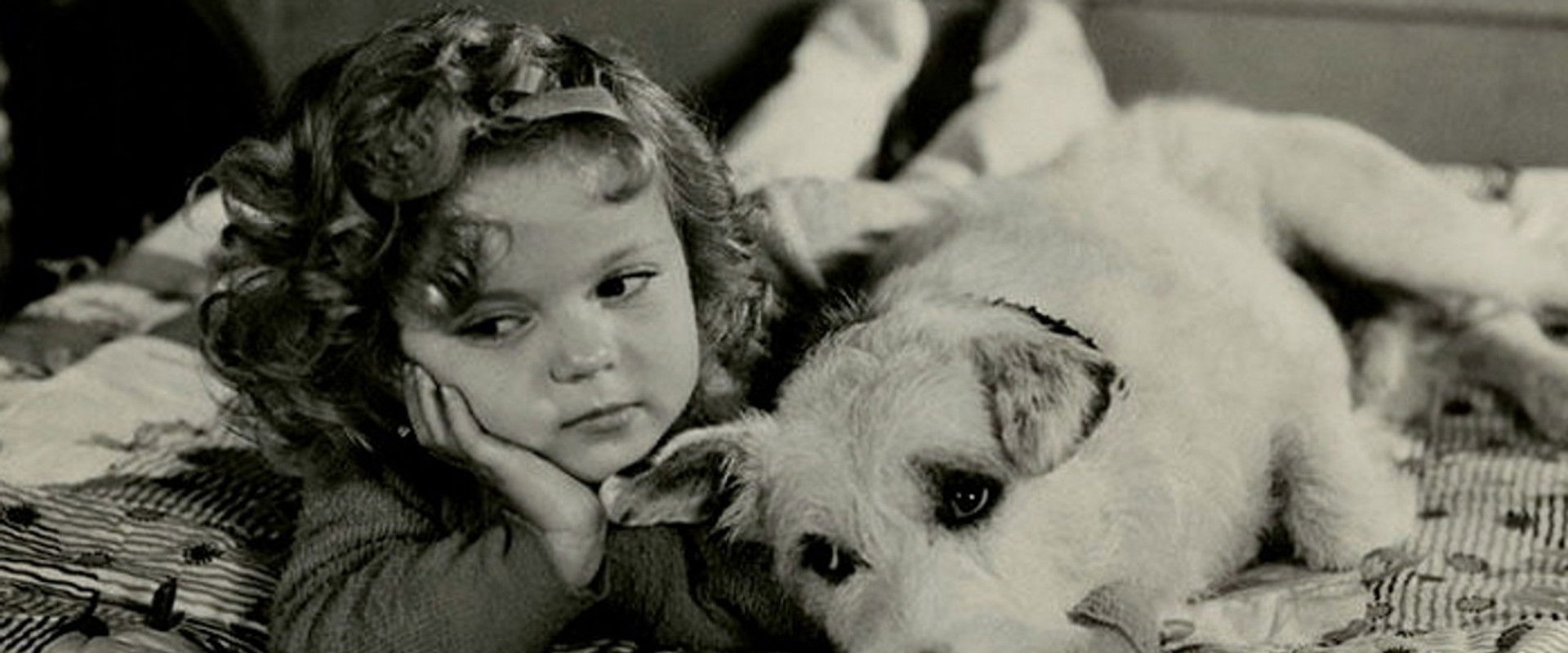 Merrily Yours's banner image