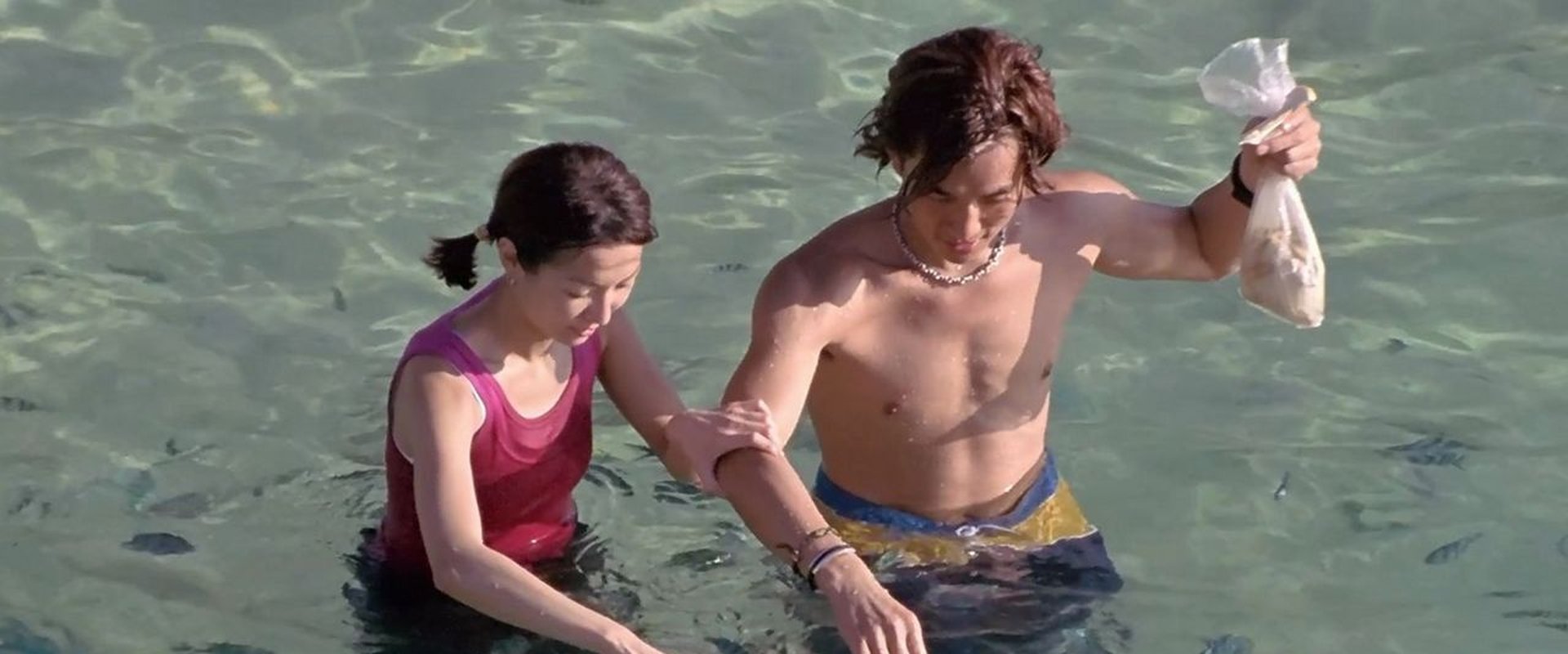 Summer Holiday