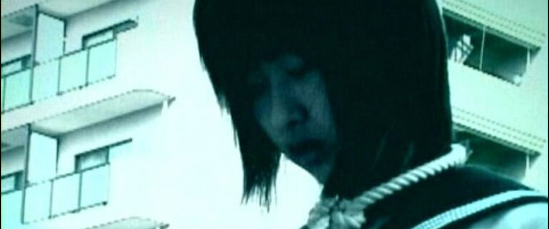 Suicide Net's banner image