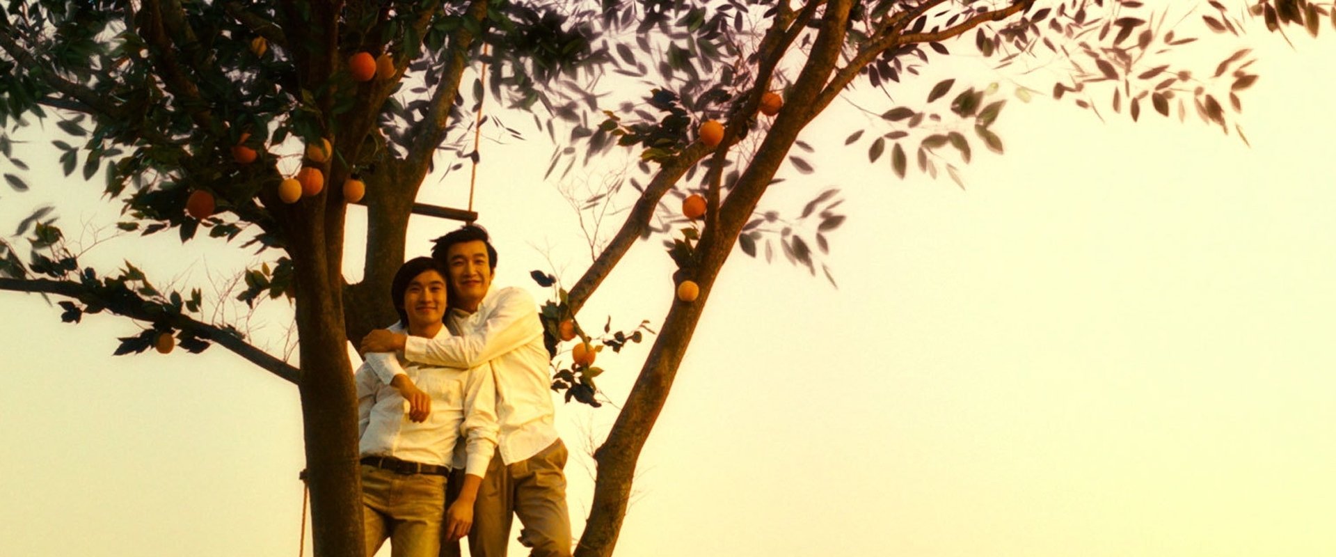 The Peach Tree