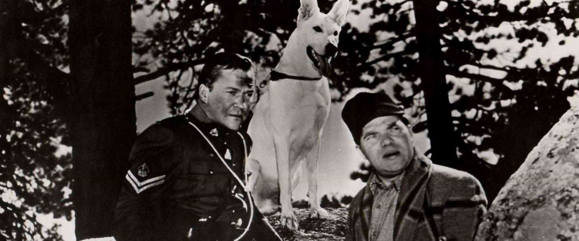 Call of the Klondike