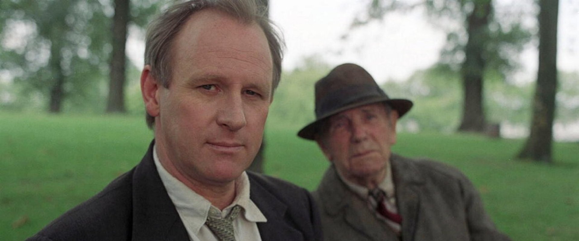 The Last Detective