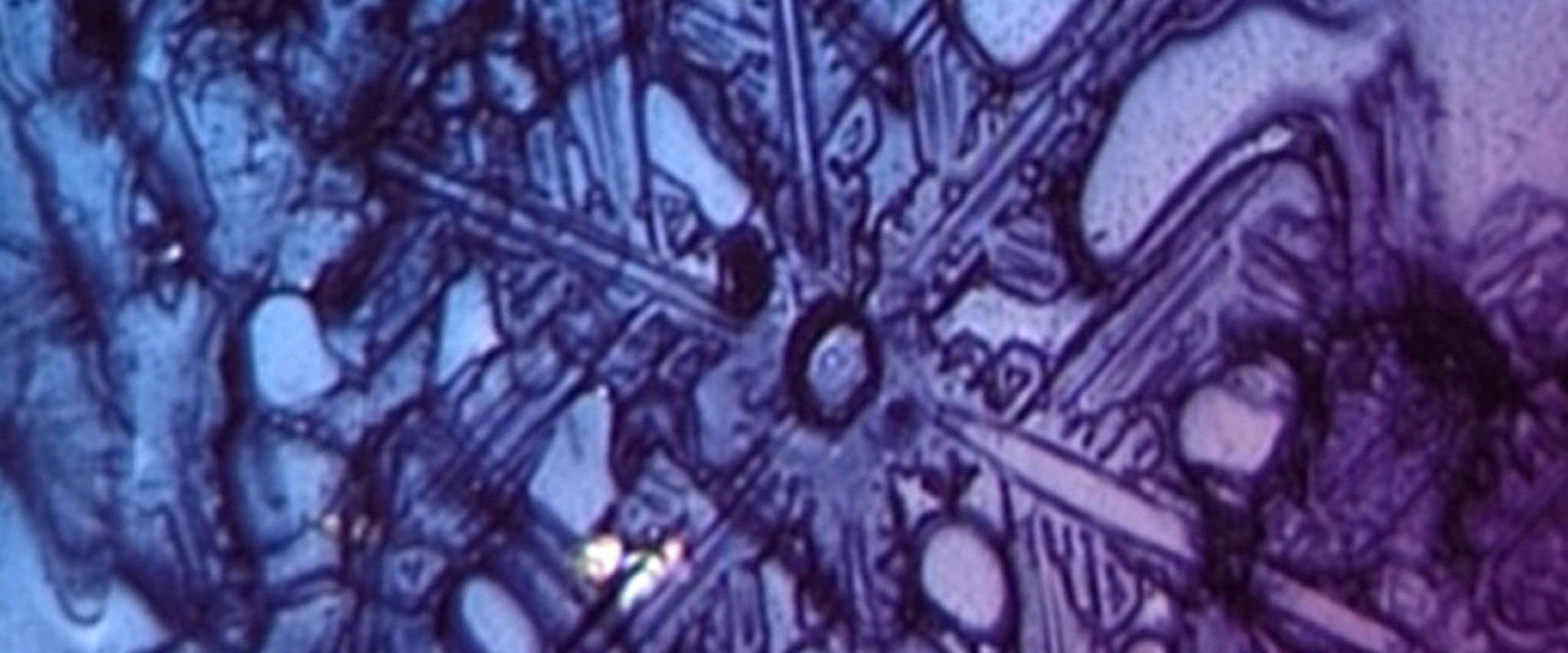 Neil Peart: A Work in Progress's banner image