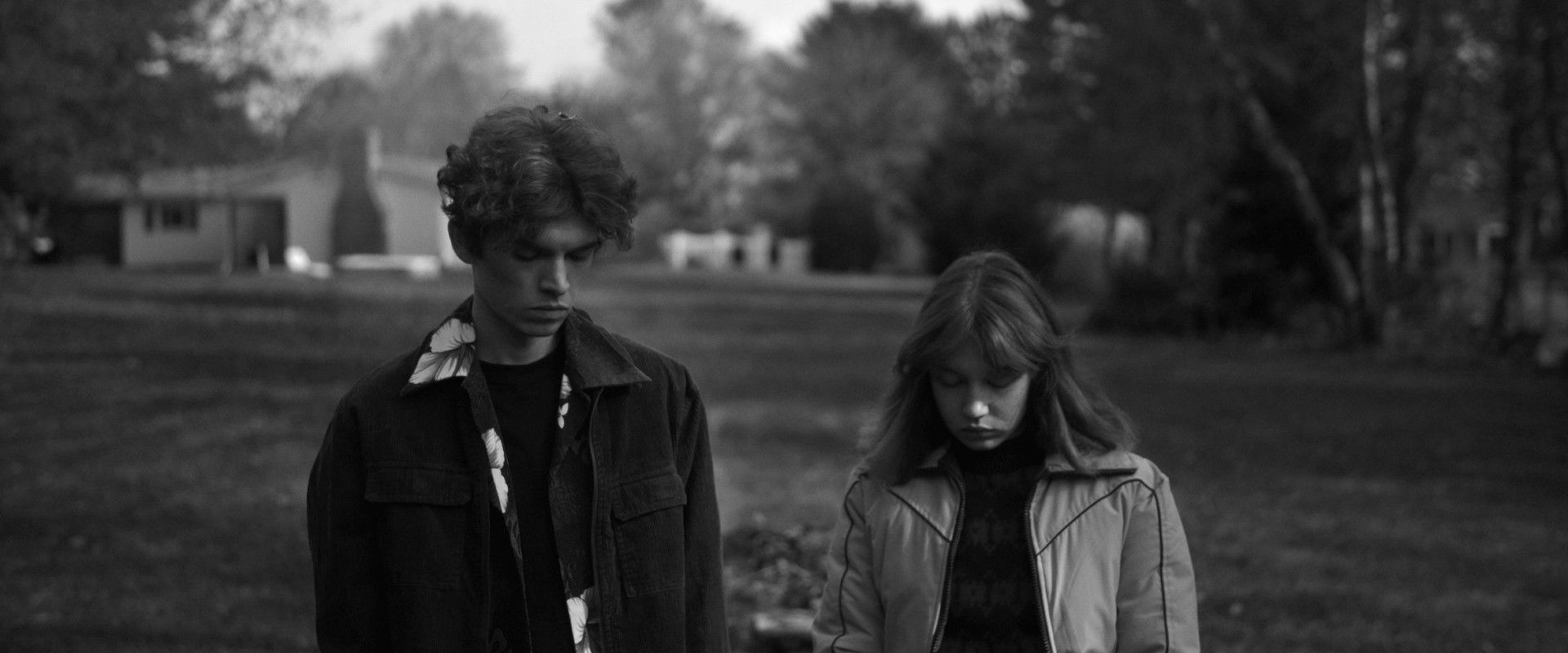 Hippo's banner image