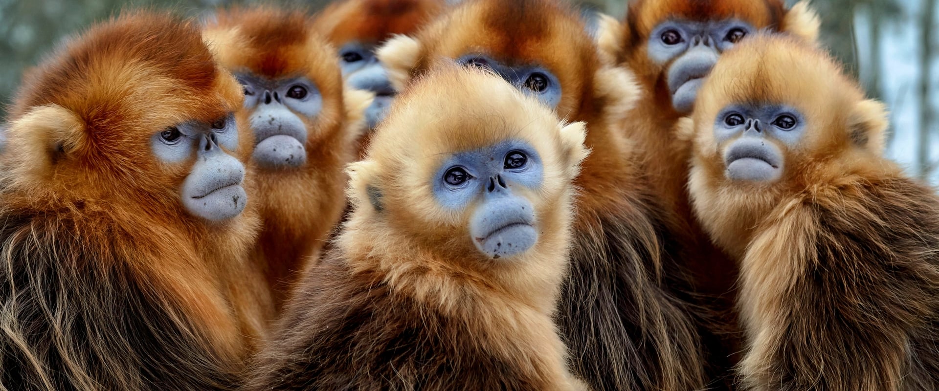 Syv kontinenter, en klode