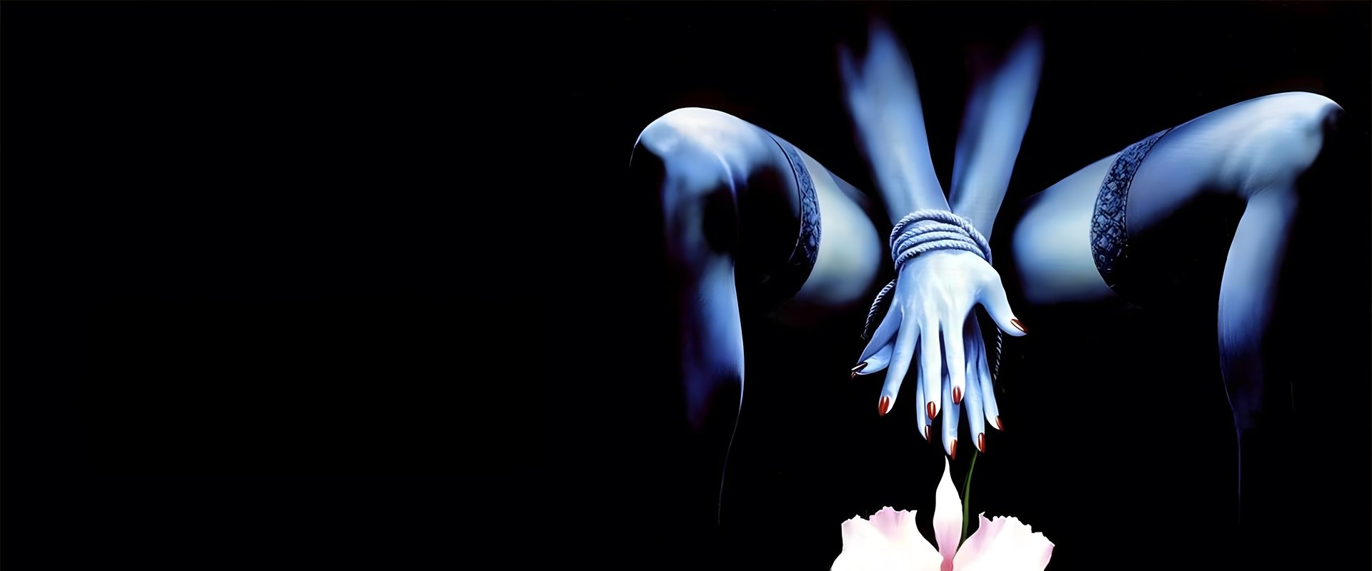 Wild Orchid II: Two Shades of Blue