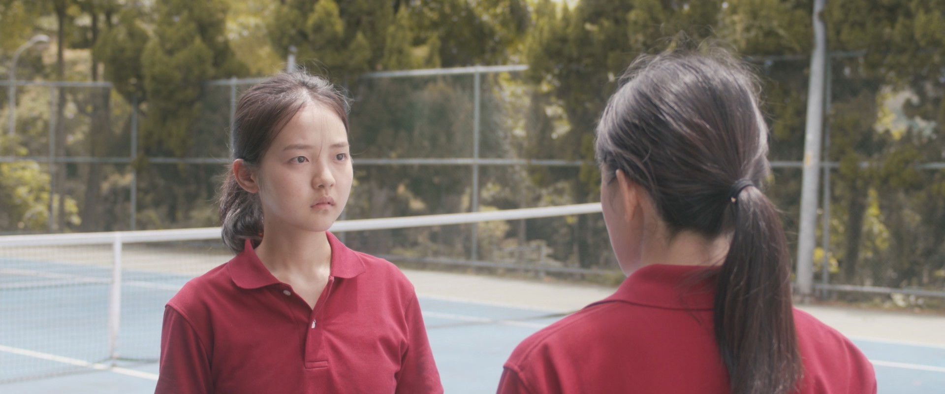 Blossom's banner image