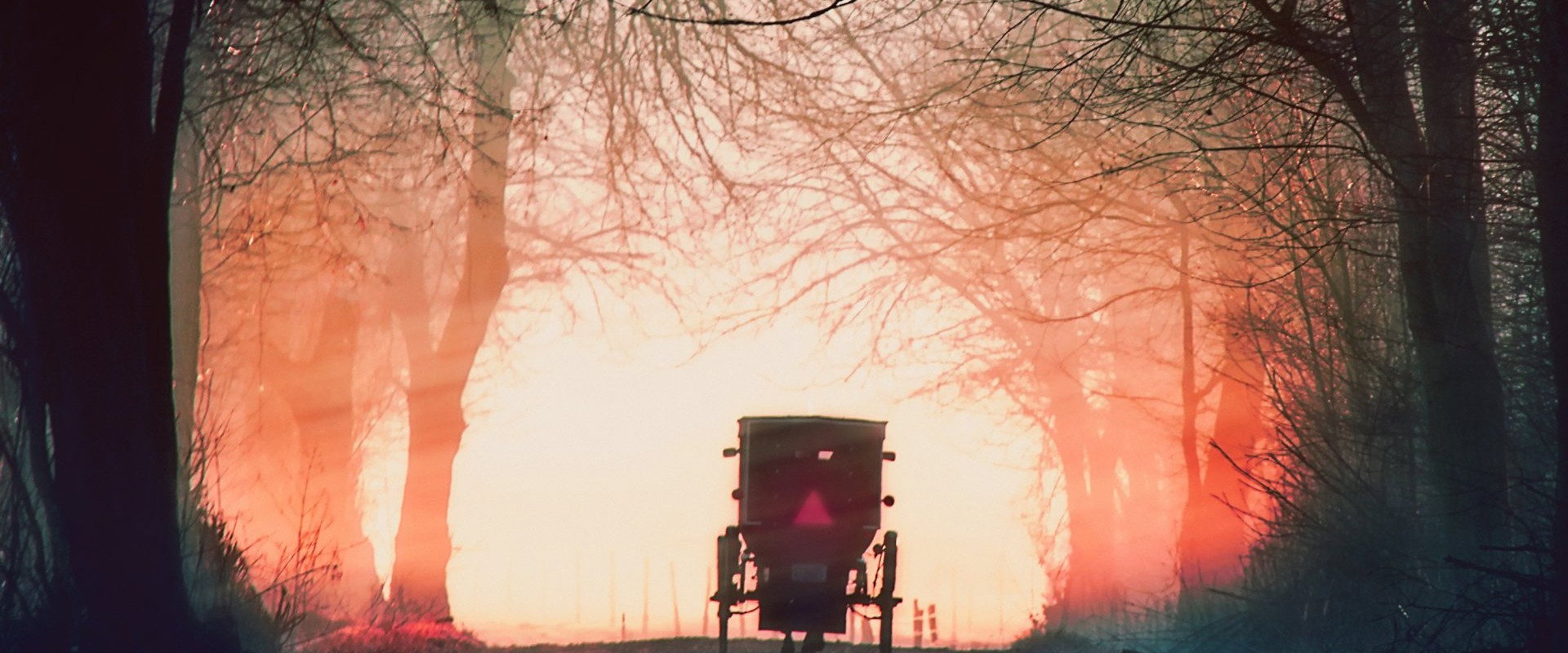 Murder in Amish Country