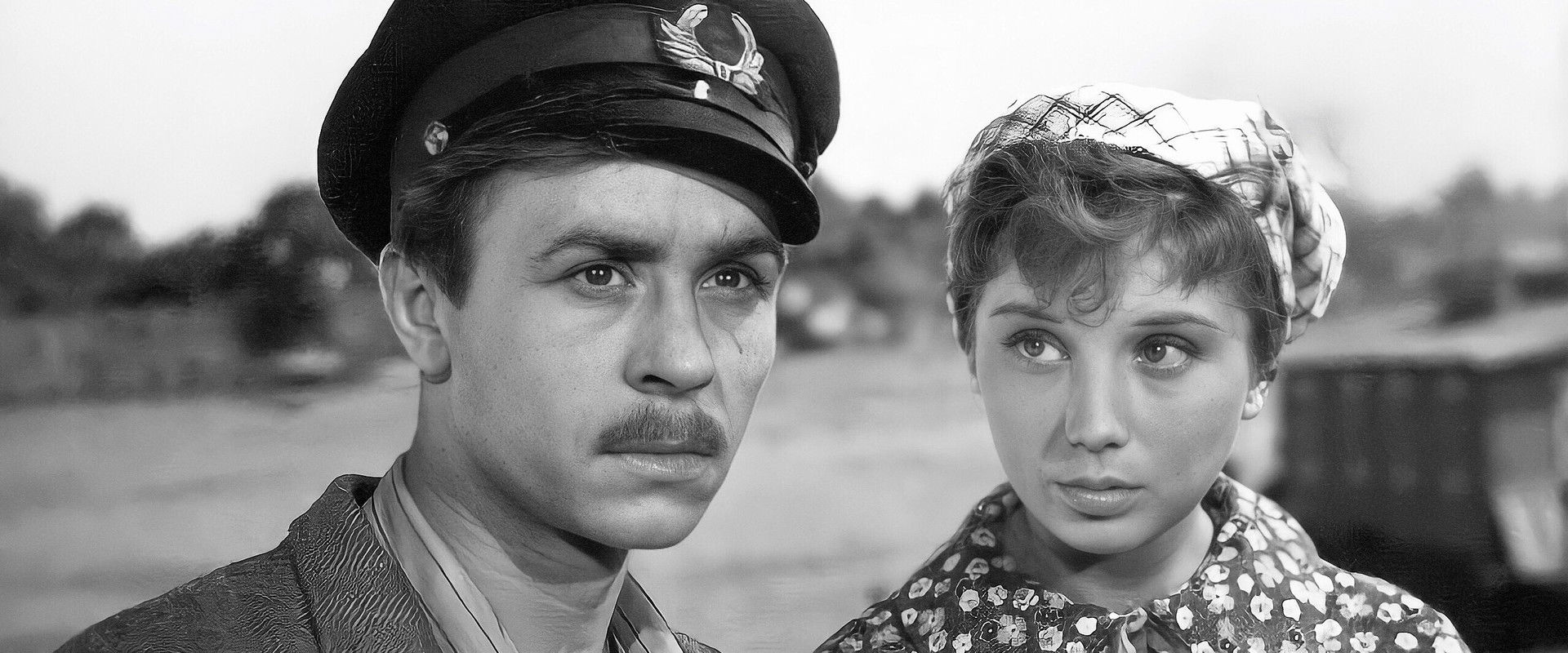 The City Turns the Lights On's banner image