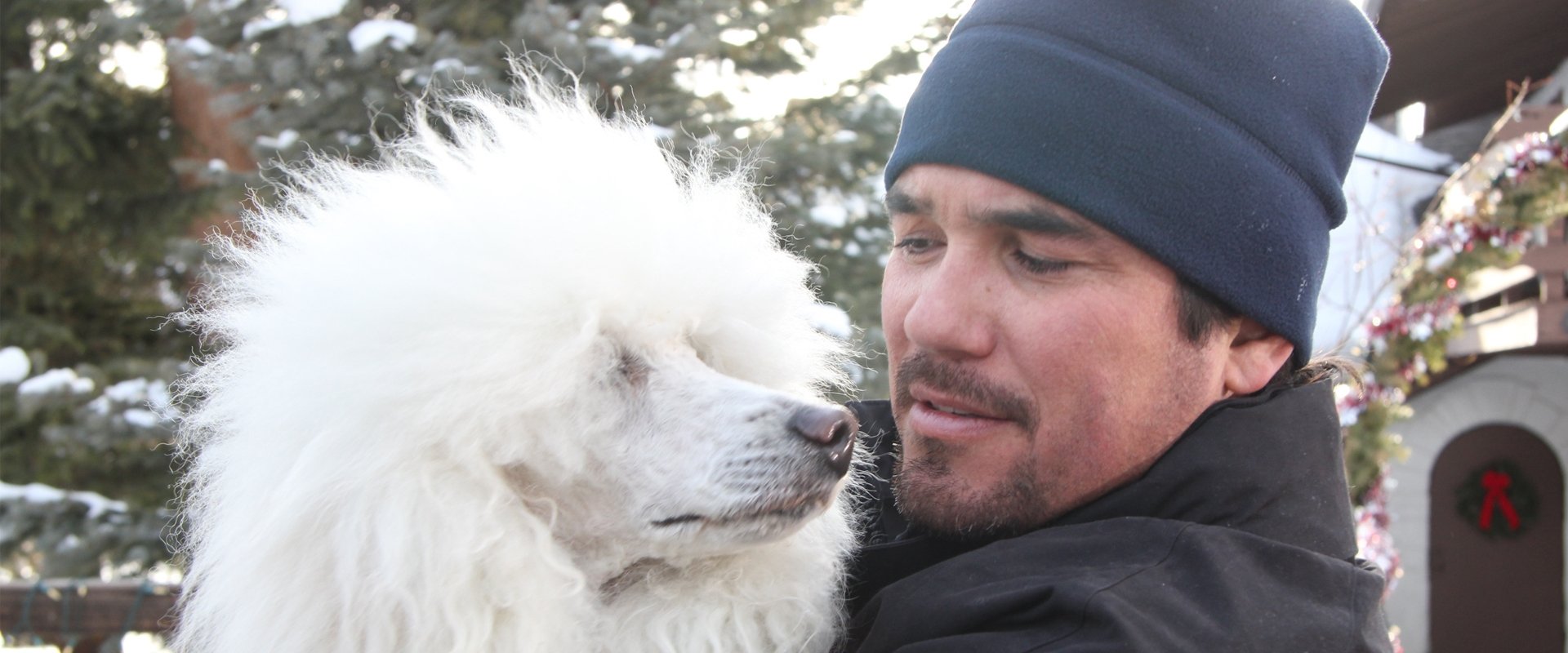 The Dog Who Saved Christmas Vacation