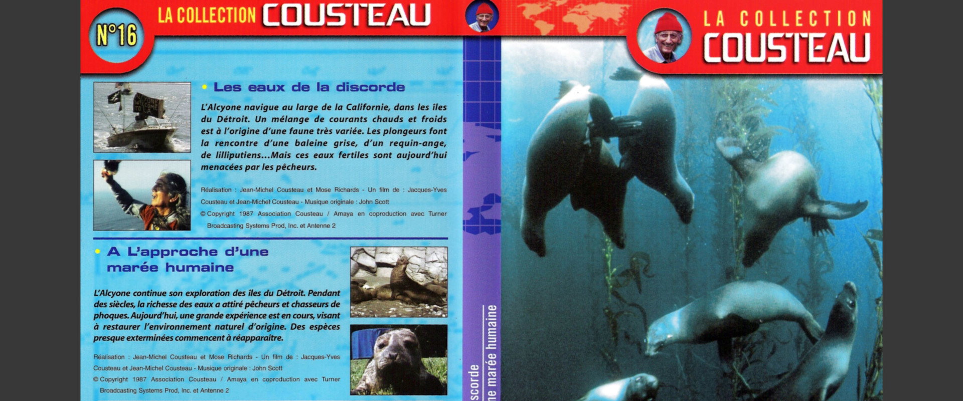 The Cousteau Collection N°16-1 | Strait Islands: The Waters of Discord's banner image