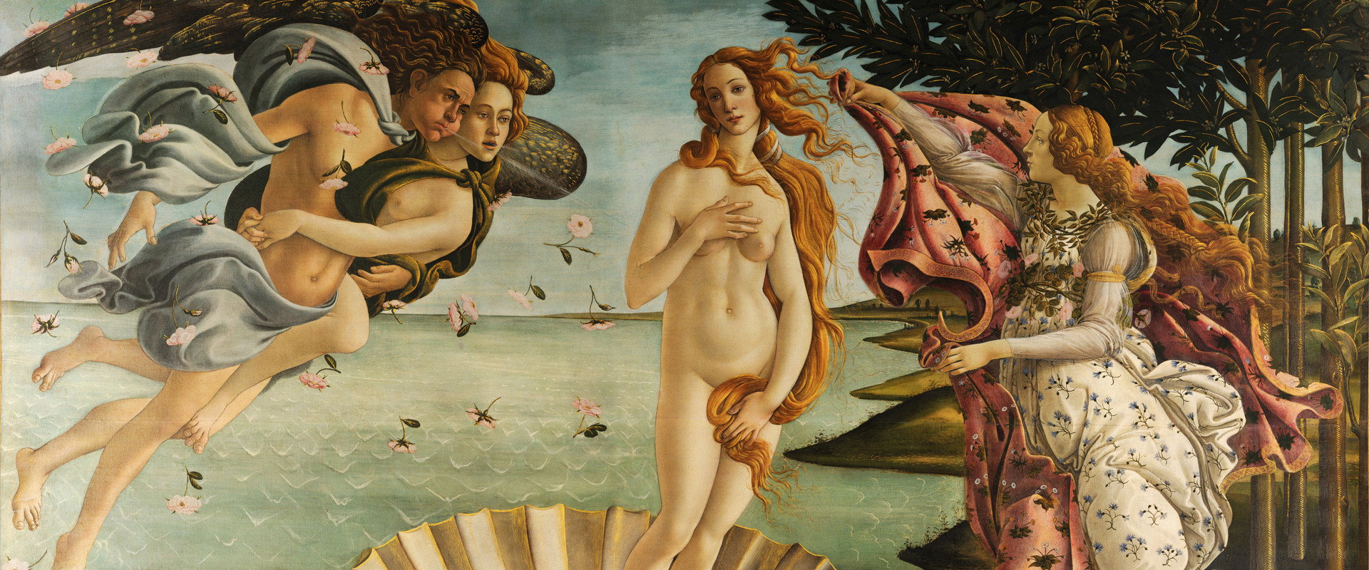 CNN Millennium's banner image