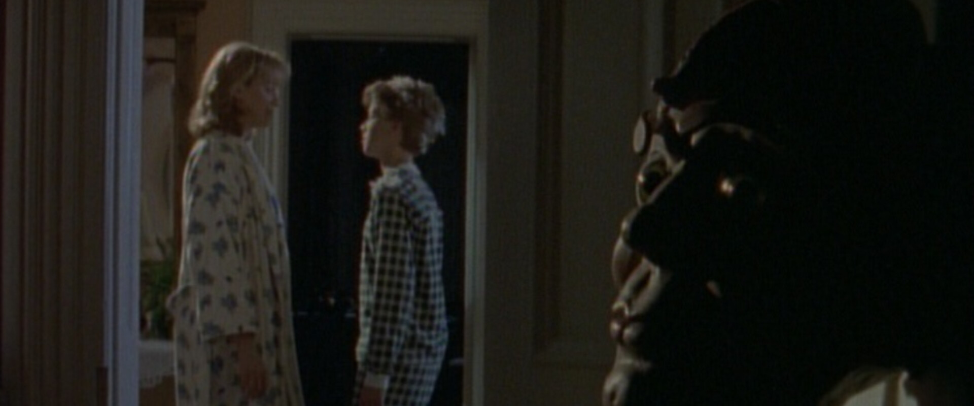 Goosebumps: Night of the Living Dummy III's banner image