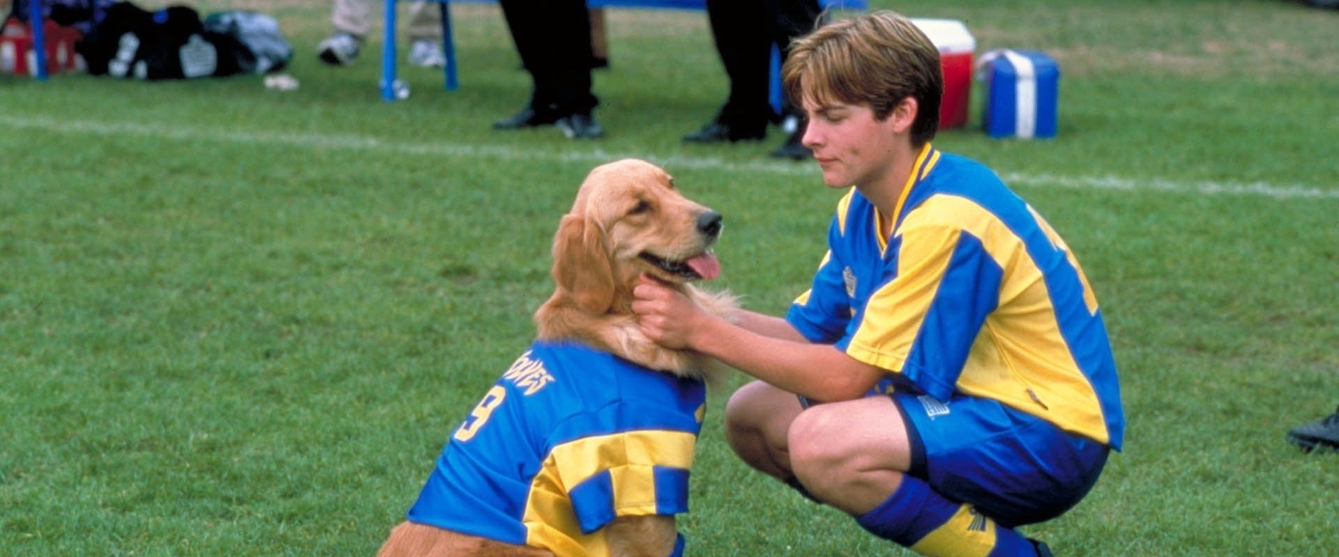 Air Bud - fotbollsfarsan