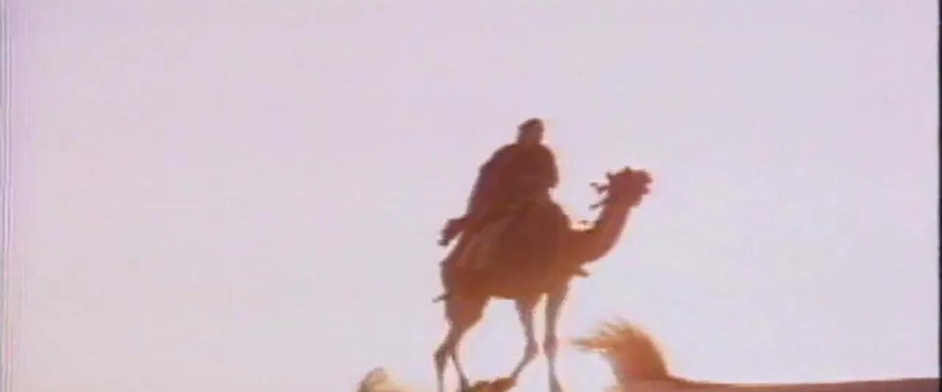 Moses the Lawgiver