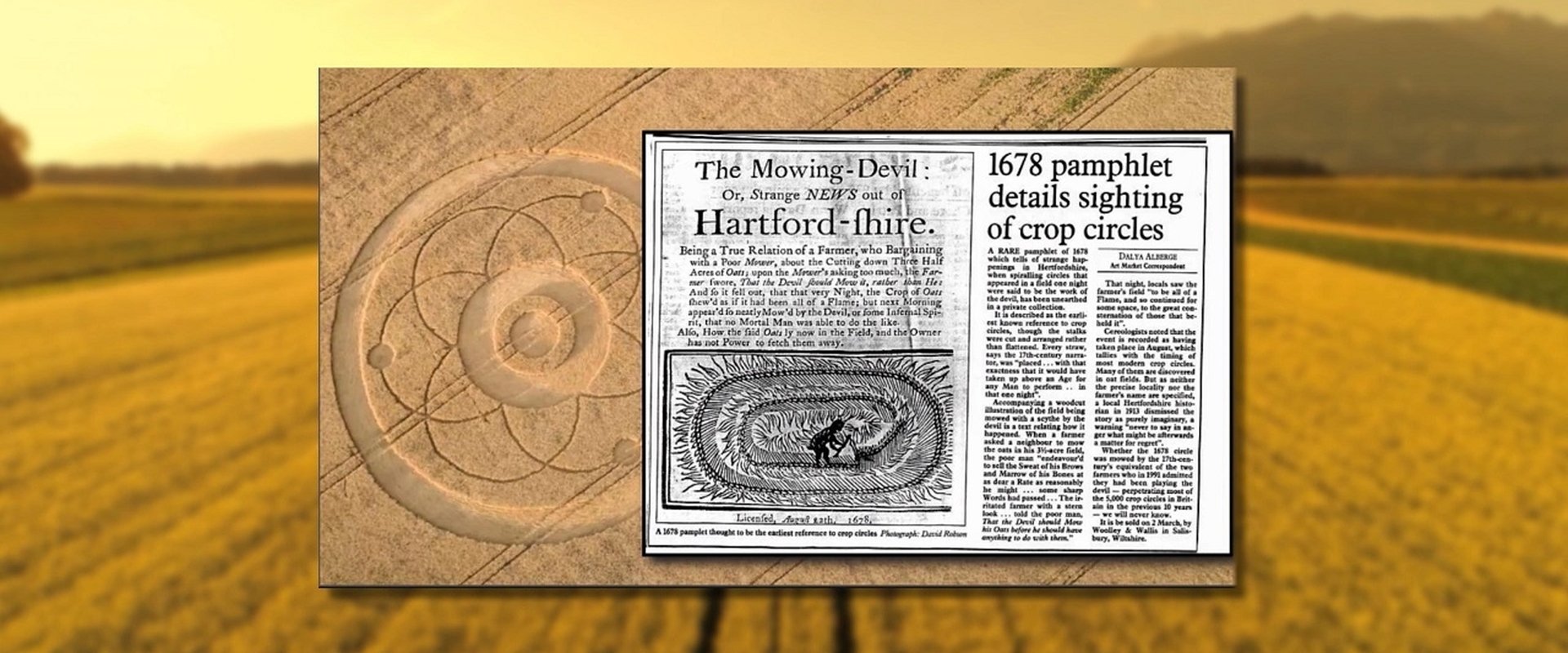 Crop Circle Realities