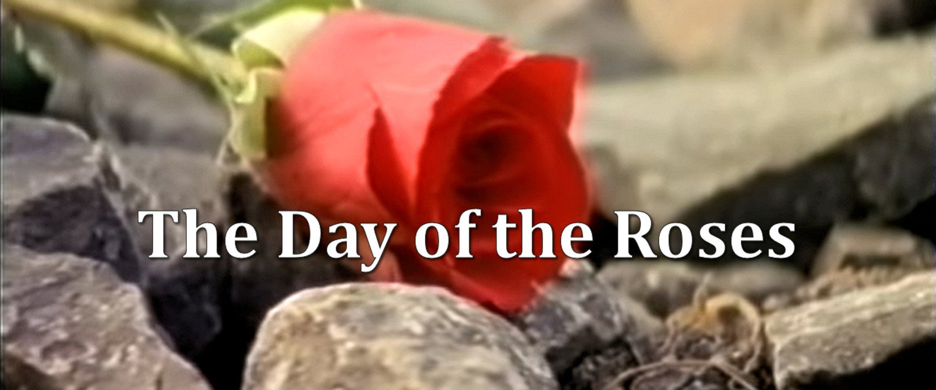 The Day of the Roses
