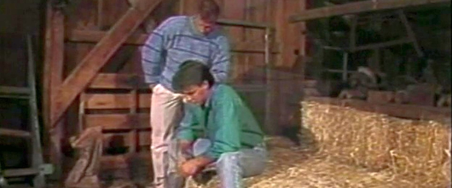 Behind the Barn Door's banner image