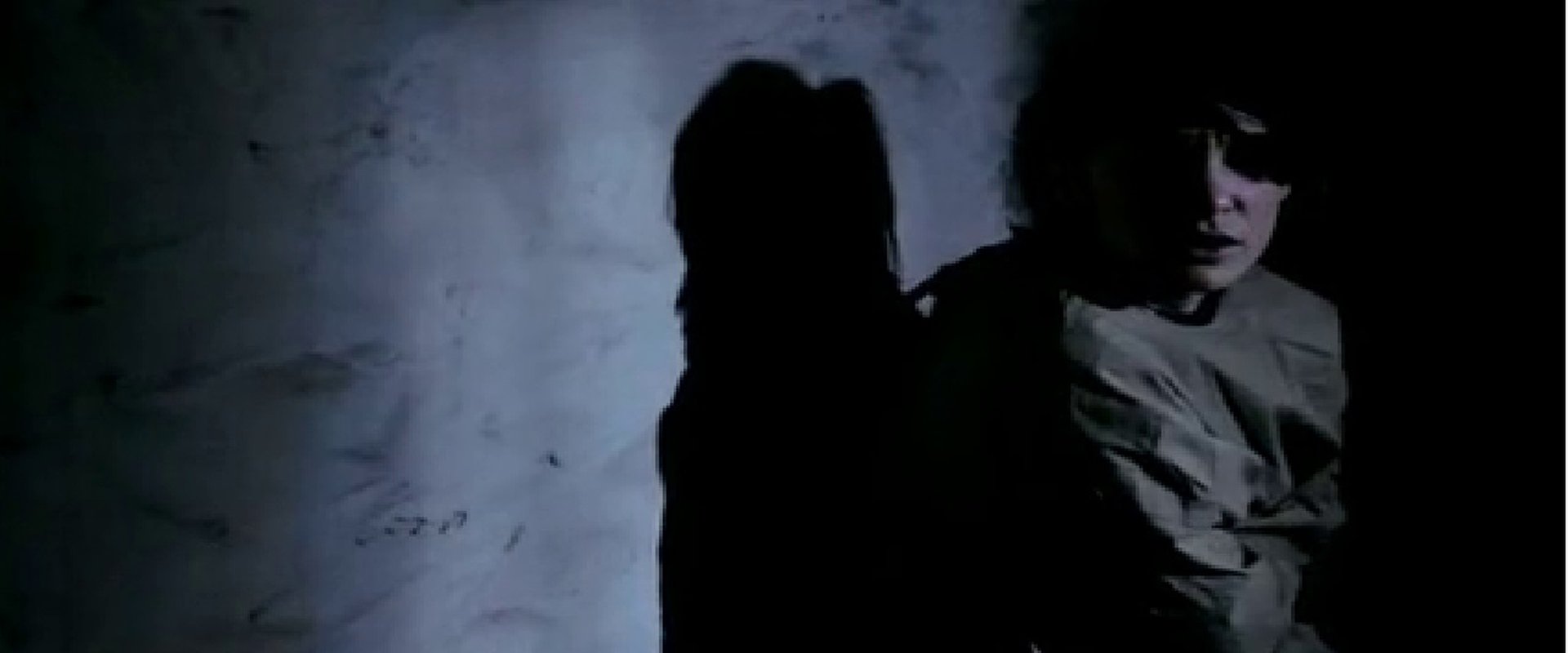 The Amityville Asylum