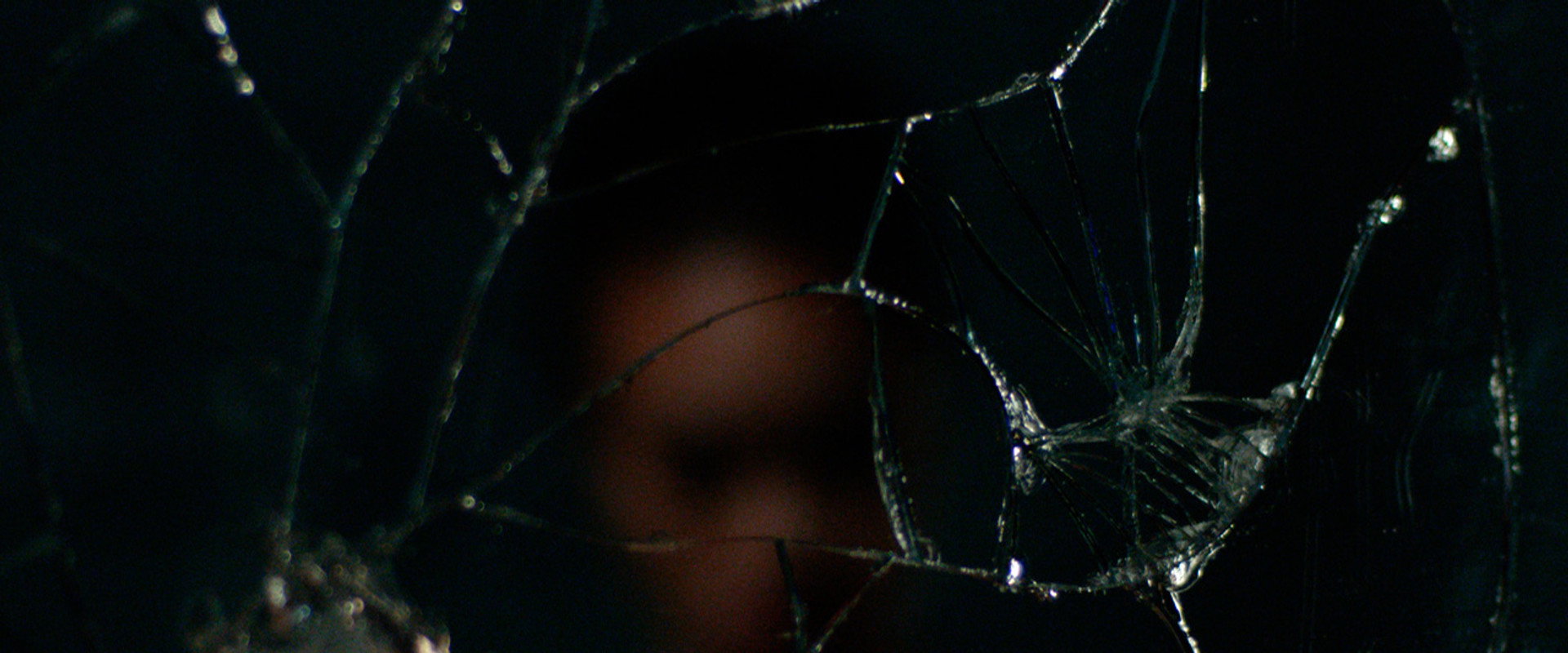 Spiders on My Lashline's banner image