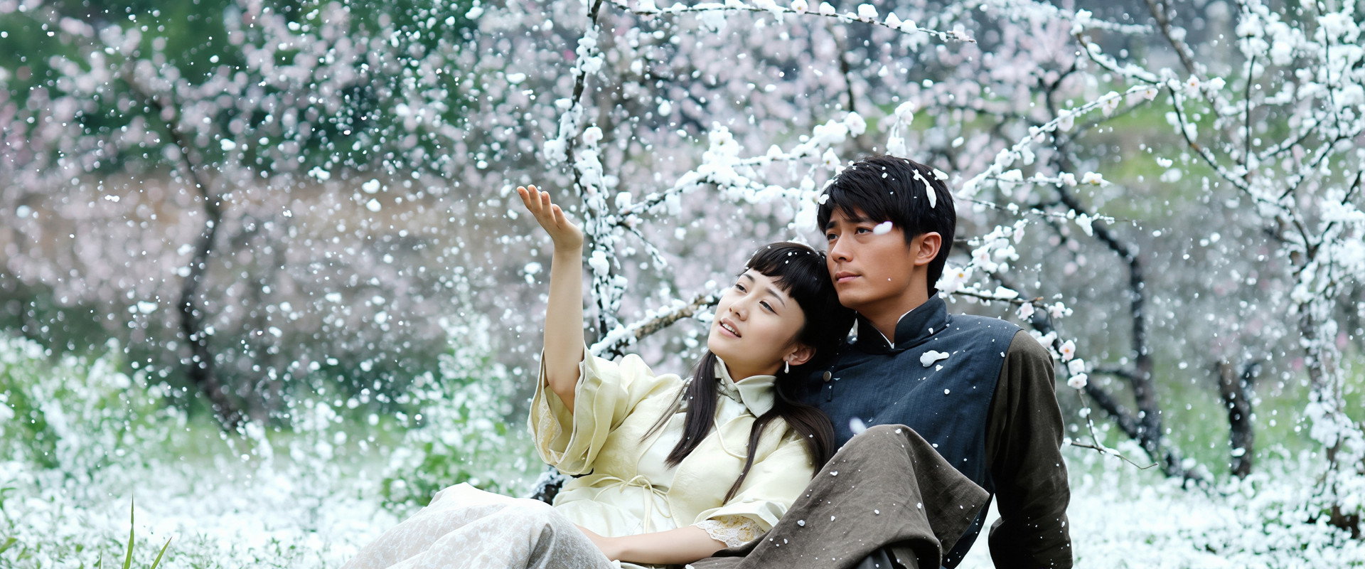 New Spring of Plum Blossoms's banner image