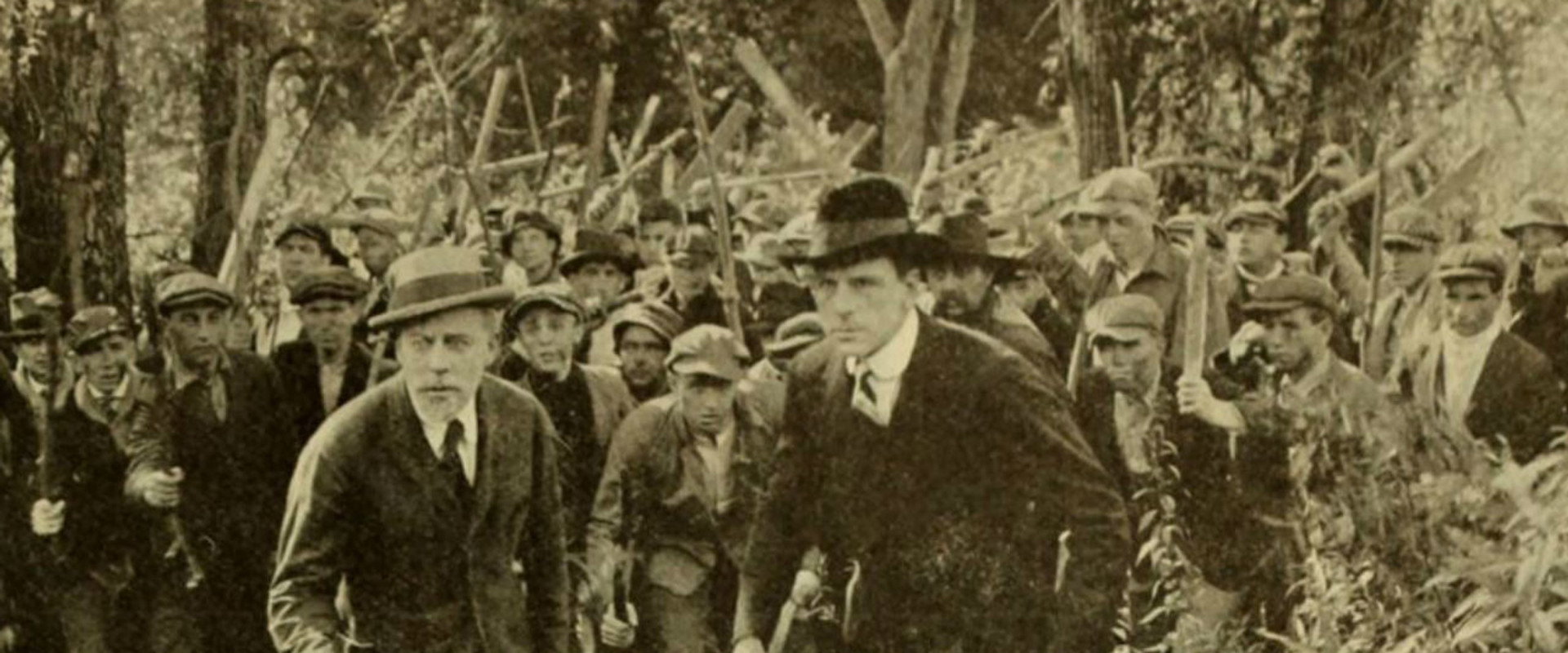 Patria's banner image