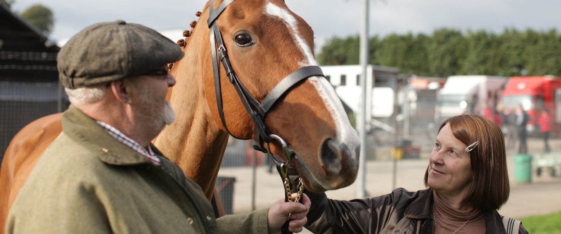 Caballo ganador