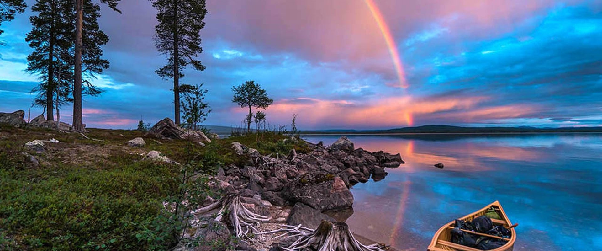 Wild Scandinavia