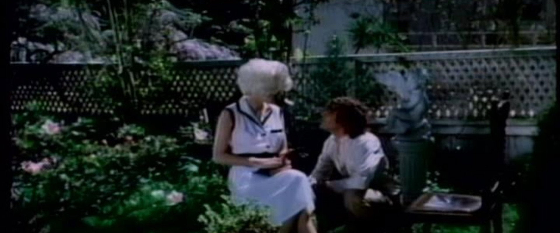 The Blonde's banner image