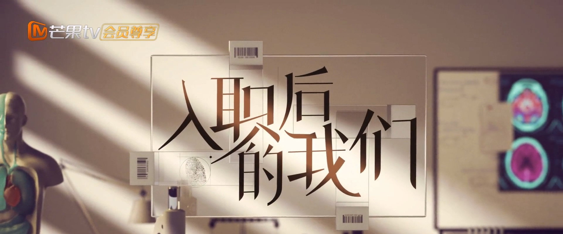 Career beginning's banner image