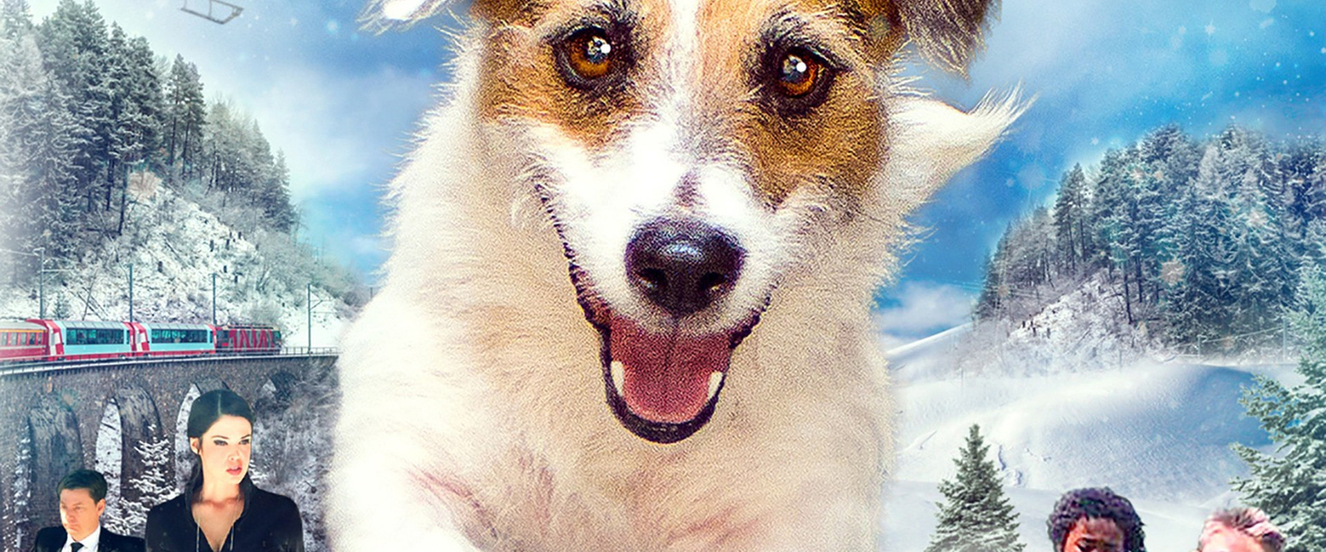 A Doggone Christmas's banner image