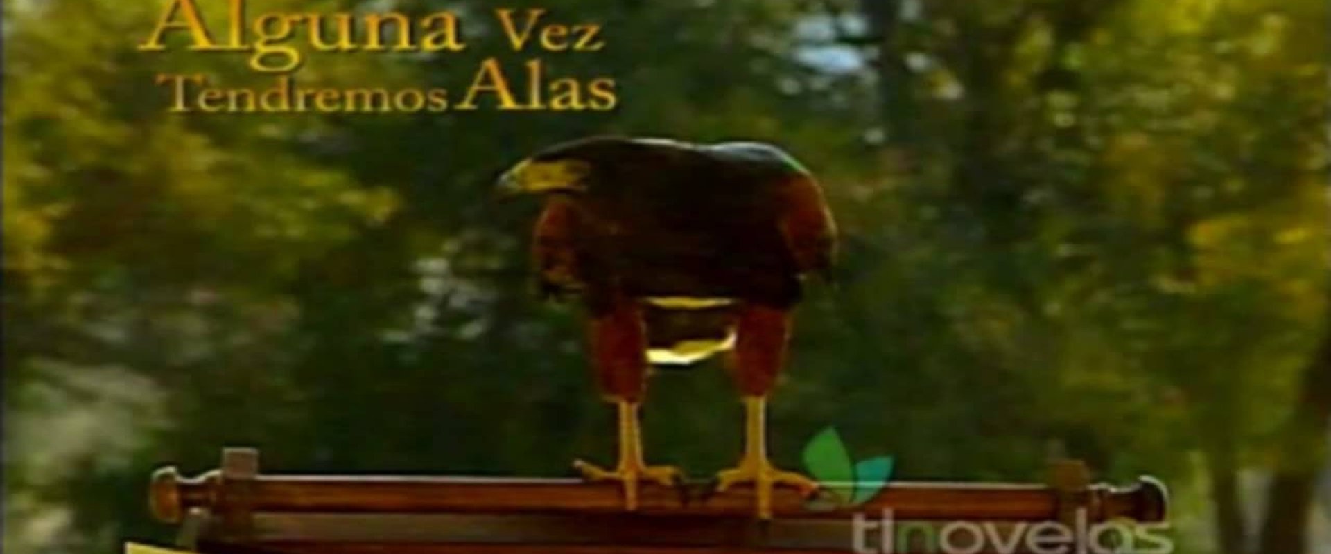 Alguna Vez Tendremos Alas