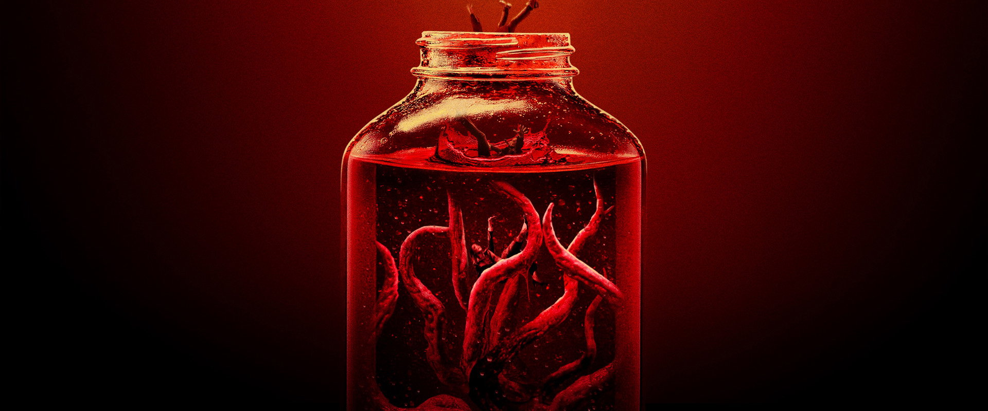 Kombucha's banner image