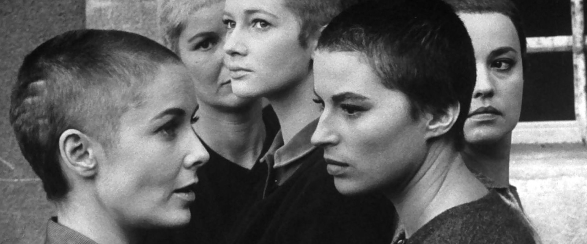 Five Branded Women