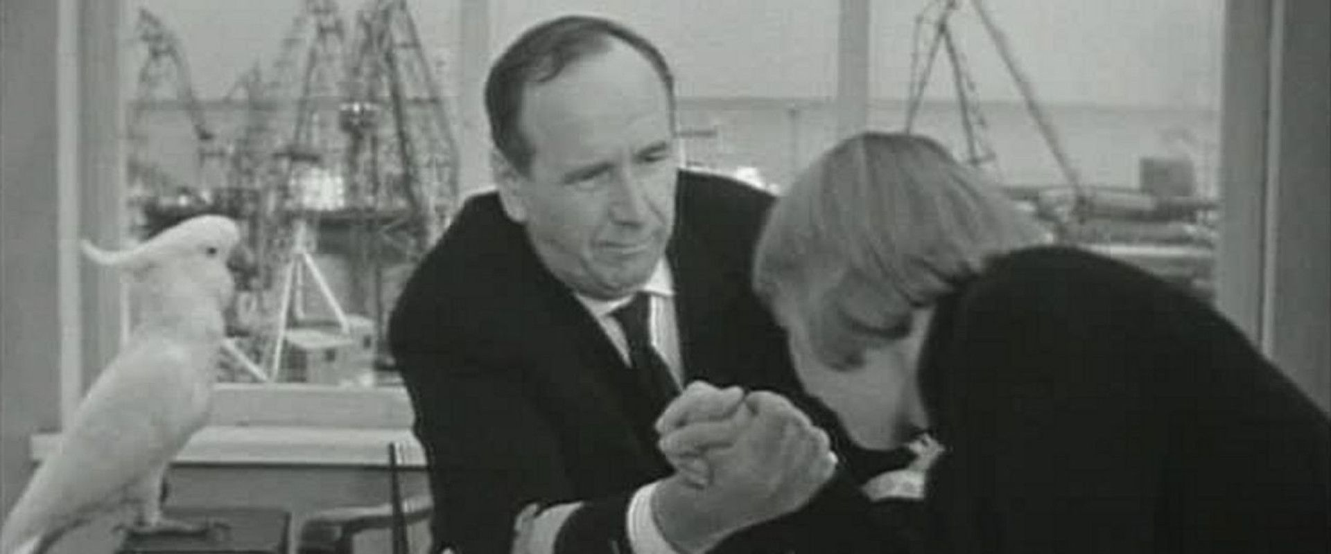 Road to the Sea's banner image