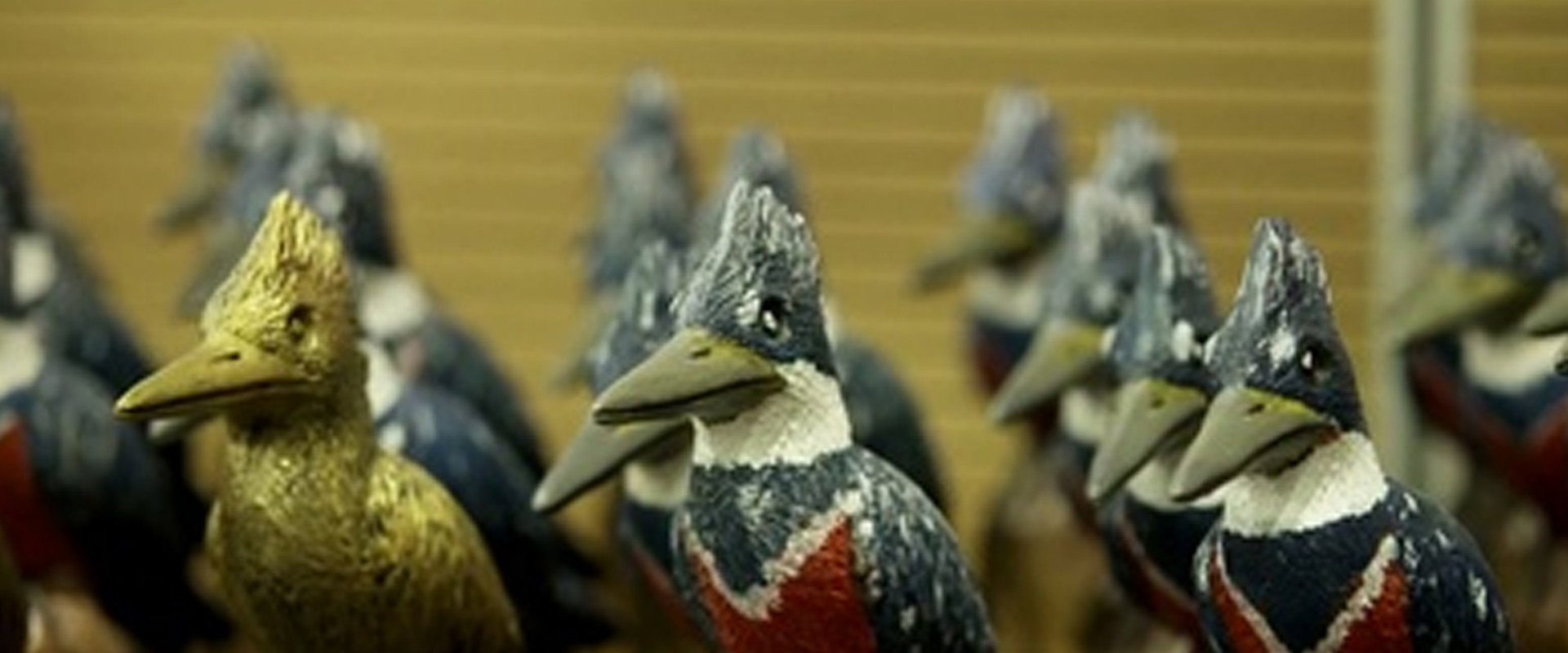 Los ganadores's banner image