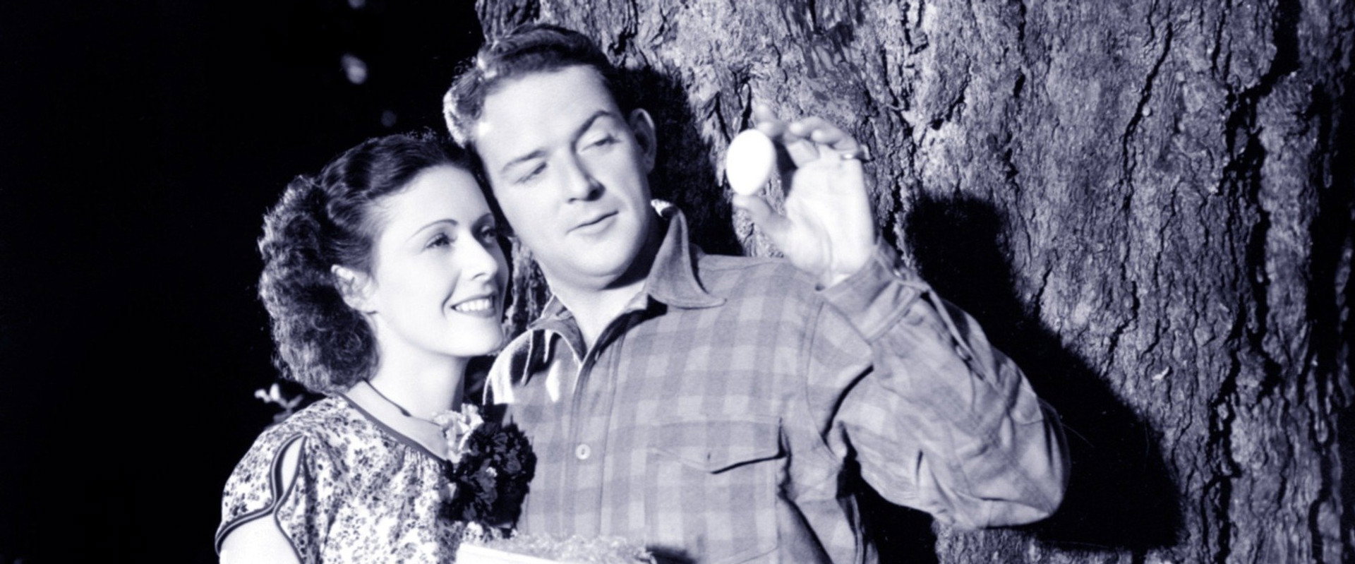 Fury and the Woman's banner image