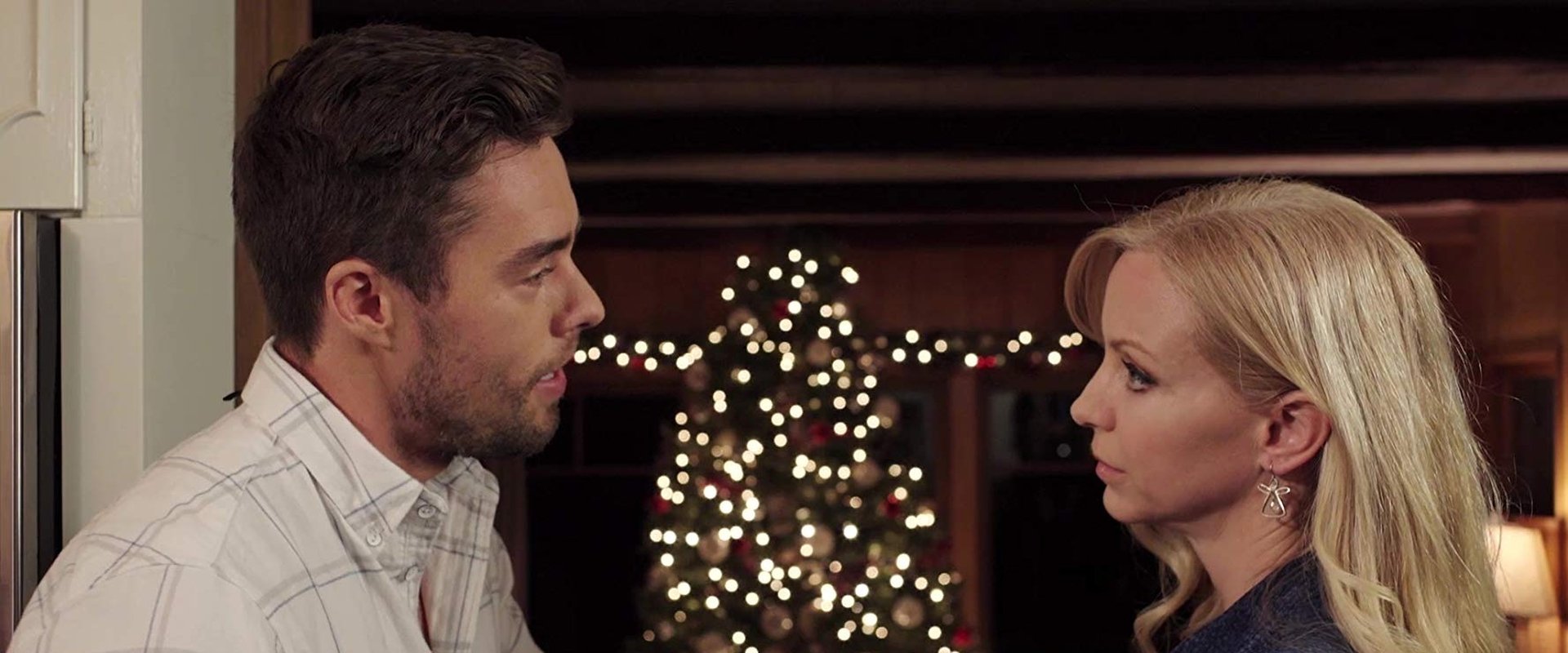 A Holiday Boyfriend