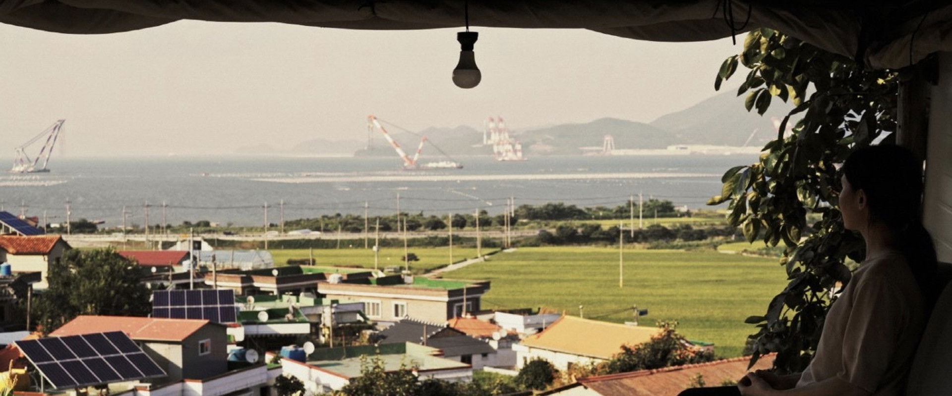 Days in a Summer's banner image