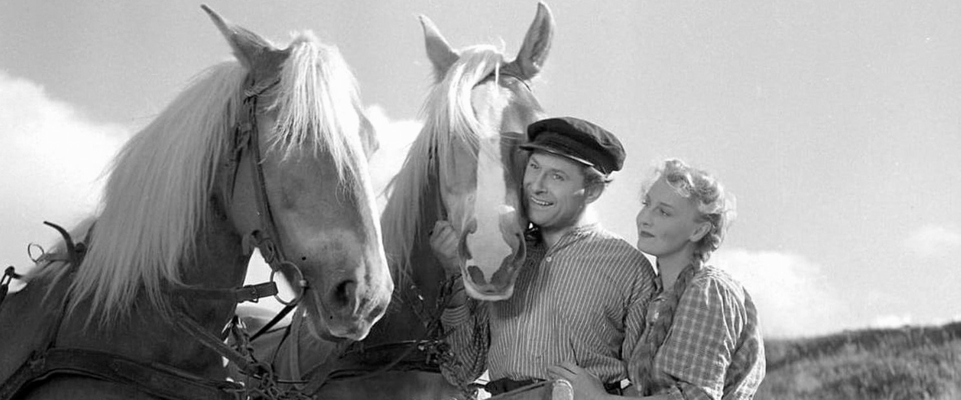 Husmandstøsen's banner image