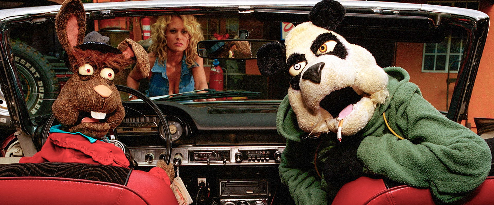 The Bronx Bunny Show