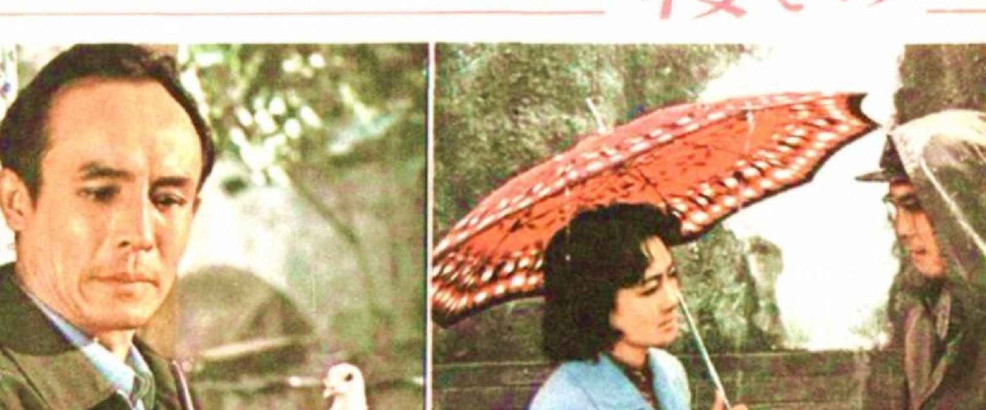 Cherry Blossom's banner image